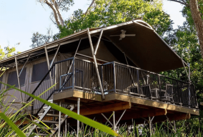 An elevated safari tent in bushland.