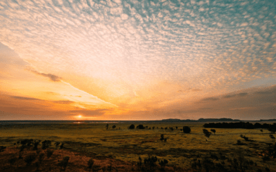 The view from Ubirr at sunrise