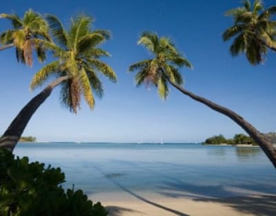 Musket Cove Island Resort & Marina