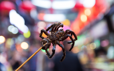 Fried tarantula on a stick ready to be eaten.