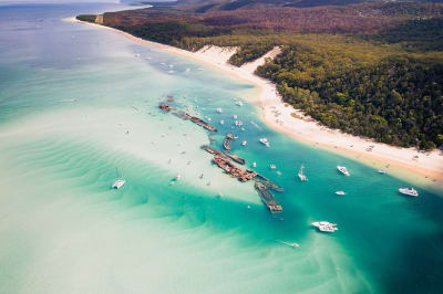 Tangalooma Wrecks Moreton Island QLD