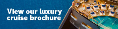 View our luxury cruise brochure
