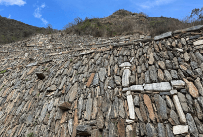 Llamas depicted in a stone mosaic in the ruins of the ancient Incan city of Choquequirao, Peru