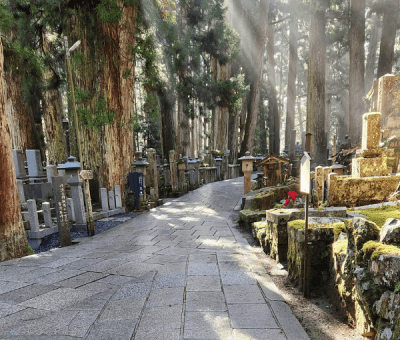 A paved pathway winds through a wooded cemetery