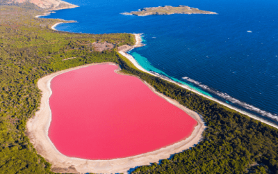 Lake Hillier, a pink lake alongside the blue ocean in Western Australia.