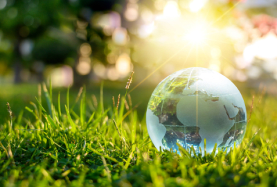 A glass globe in the grass