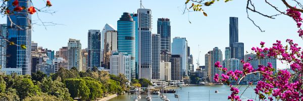 Brisbane city with a view of the river, framed by pink-purple flowers