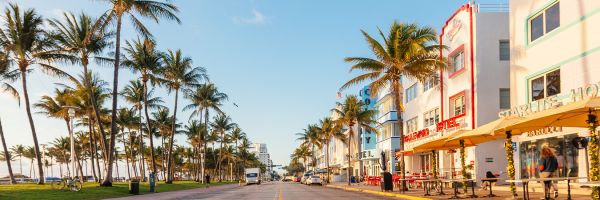 Miami street, with palm trees on one side, and white 70's style hotels on the other