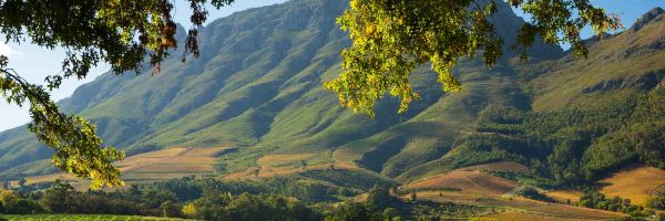 Franschhoek Header Banner