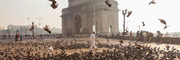 Gateway of India - a large monument in Mumbai - with thousands of pigeons