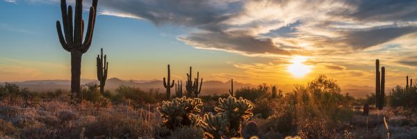 Arizona Header Banner