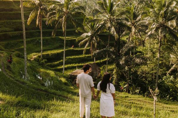 Couple wearing white holding hands looking out at terraced farms in Bali