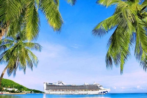 Palm trees and beach with Princess Cruises ship in the distance
