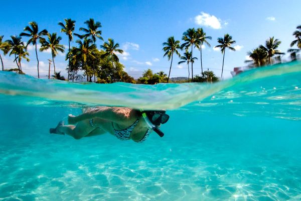 Lady snorkelling in crystal blue water with palm trees in the background