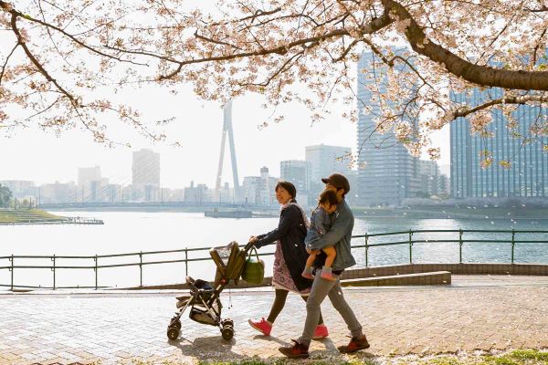 Family walking along the water with cherry blossom trees above them