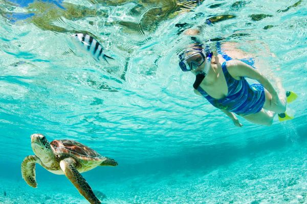 Lady snorkelling and watching a turtle and fish swim