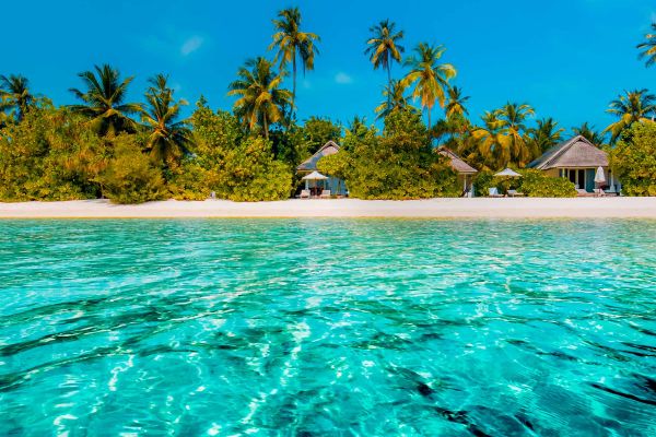 Crystal clear water in front of beach with palm trees