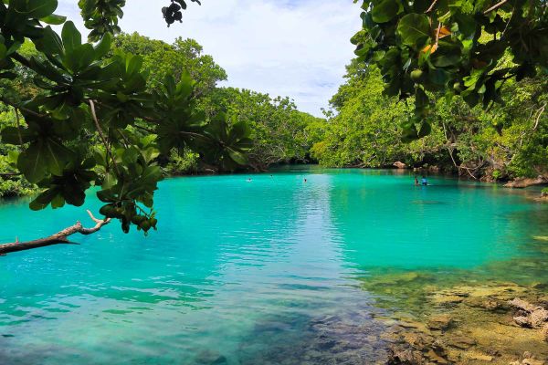 Blue lagoon surrounded by lush green tress