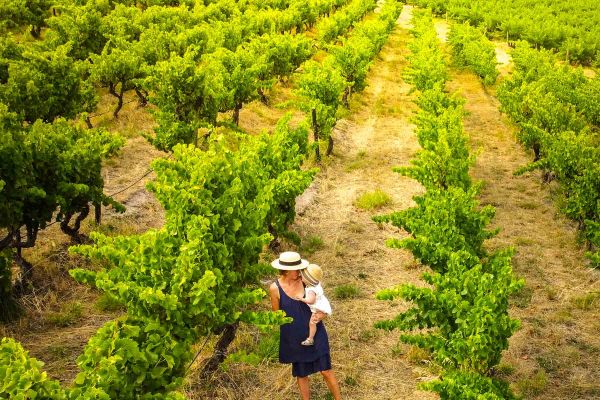 Mother and baby cuddling in a wine vineyard