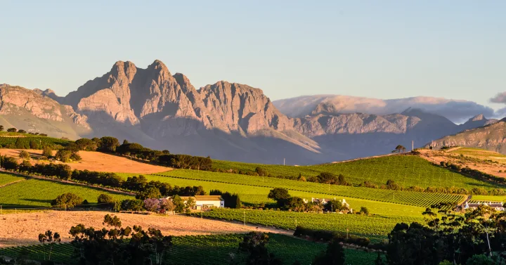 Cape Town & Winelands