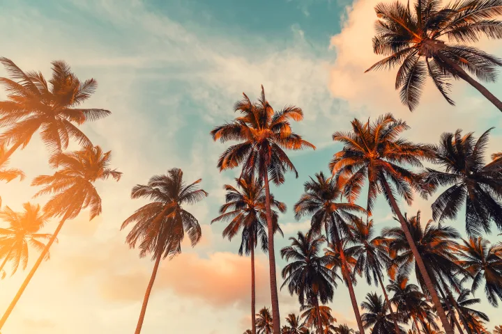 Miami & The Keys