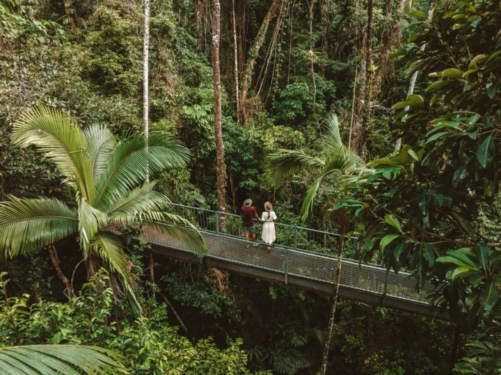 Australia: Rainforest & Reef