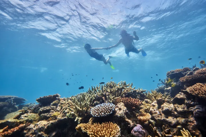 Aussie Icons: Sydney, Uluru & the Great Barrier Reef