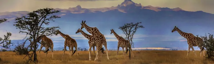 Classic Kenya and Zanzibar