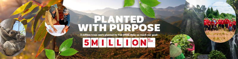 planted with purpose