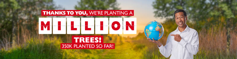 Thanks to you, we're planting a MILLION trees! | 350k planted so far!