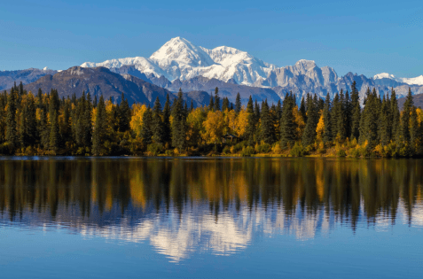 Vast lake in Denali National Park, Alaska with a snow-capped mountain in the background and a clear, blue sky.