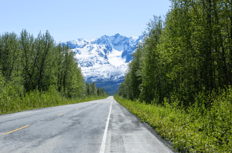 Road lined by trees leading to the Chugach Mountains in Alaska.