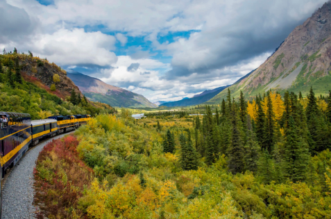 Train travelling along a track surrounded by autumnal foliage.