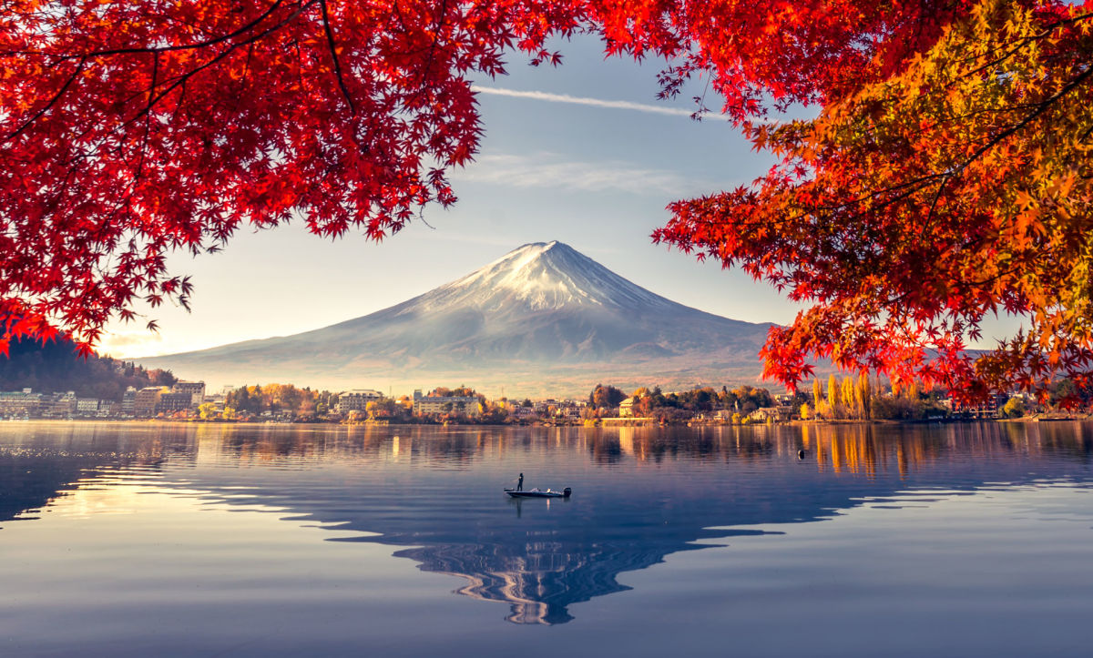 Japan Holiday Packages & Deals 2024 from Flight Centre AU