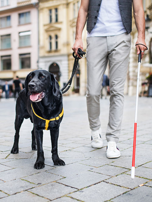 People with Disabilities